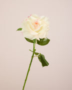 VALENTINES ROSE BOUQUET - RED/MERLOT/WHITE