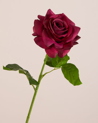 VALENTINES ROSE BOUQUET - RED/MERLOT/WHITE