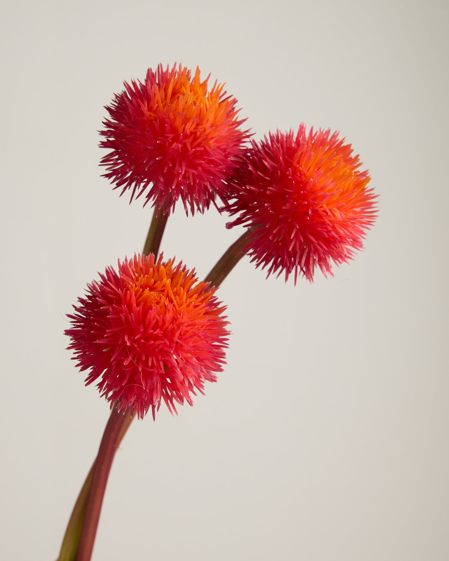 REAL TOUCH ALLIUM TRIO IN FIERY ORANGE