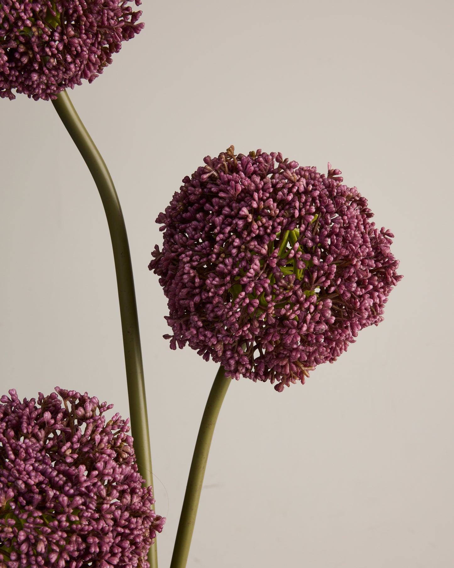 GIANT PURPLE REAL TOUCH ALLIUM