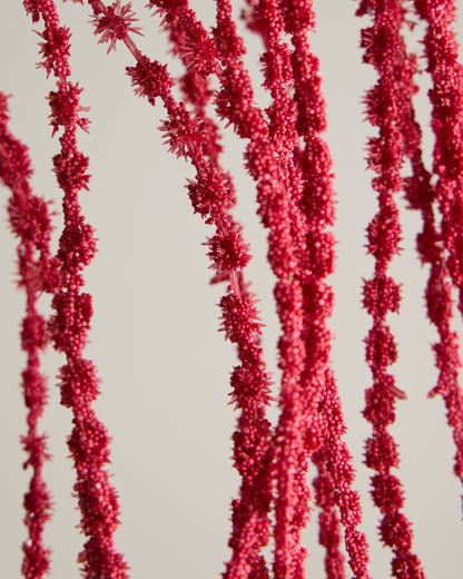 AMARANTHUS SPRAY IN RED