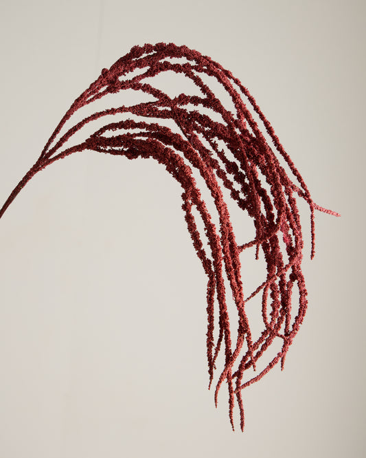 AMARANTHUS SPRAY IN BURGUNDY