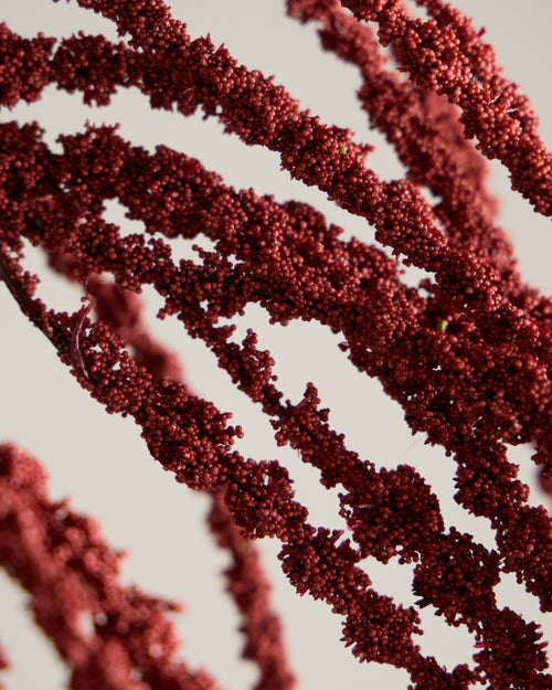 AMARANTHUS SPRAY IN BURGUNDY