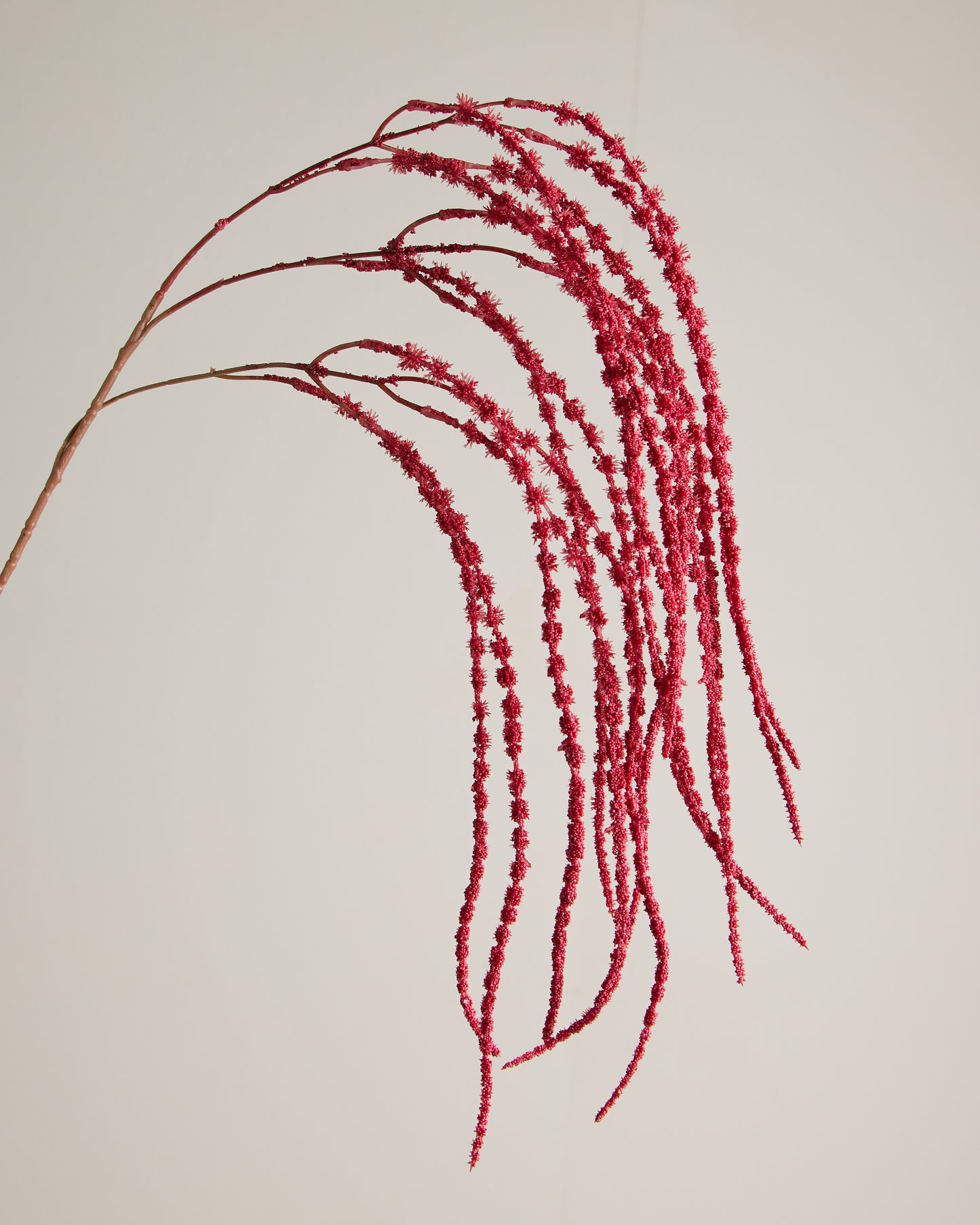 AMARANTHUS SPRAY IN RED