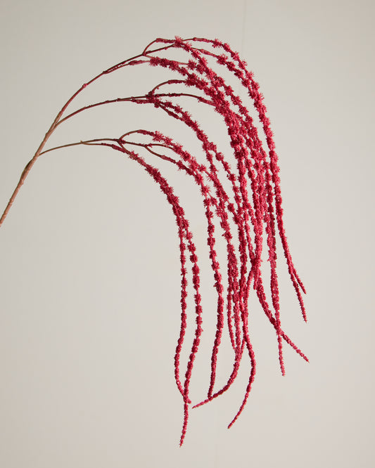 AMARANTHUS SPRAY IN RED