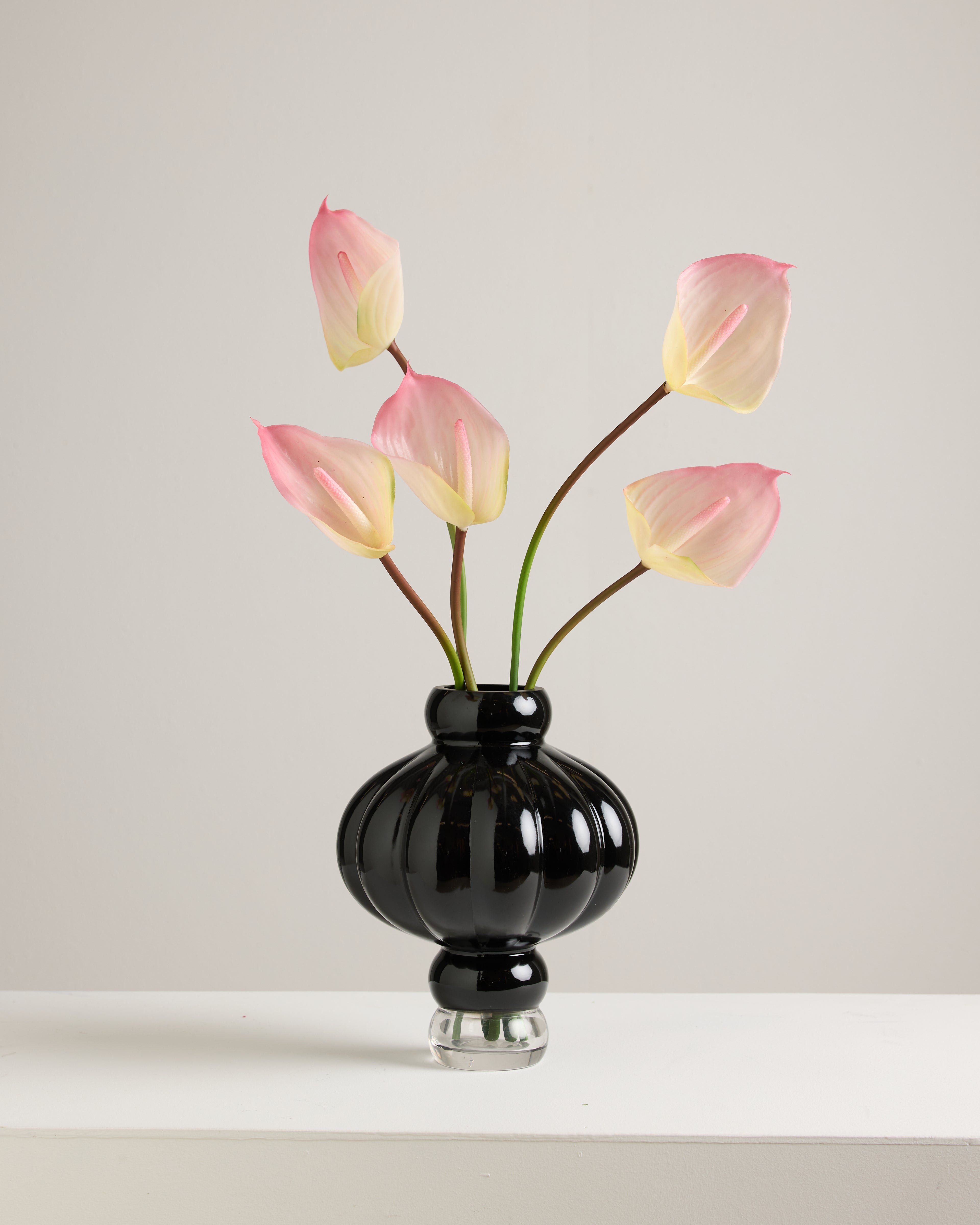 ANTHURIUM IN SOFT PINK AND LIME