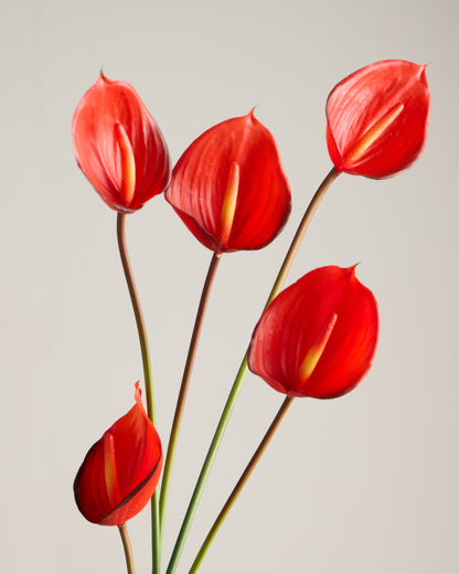 REAL TOUCH ANTHURIUM IN RED