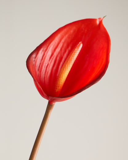 REAL TOUCH ANTHURIUM IN RED