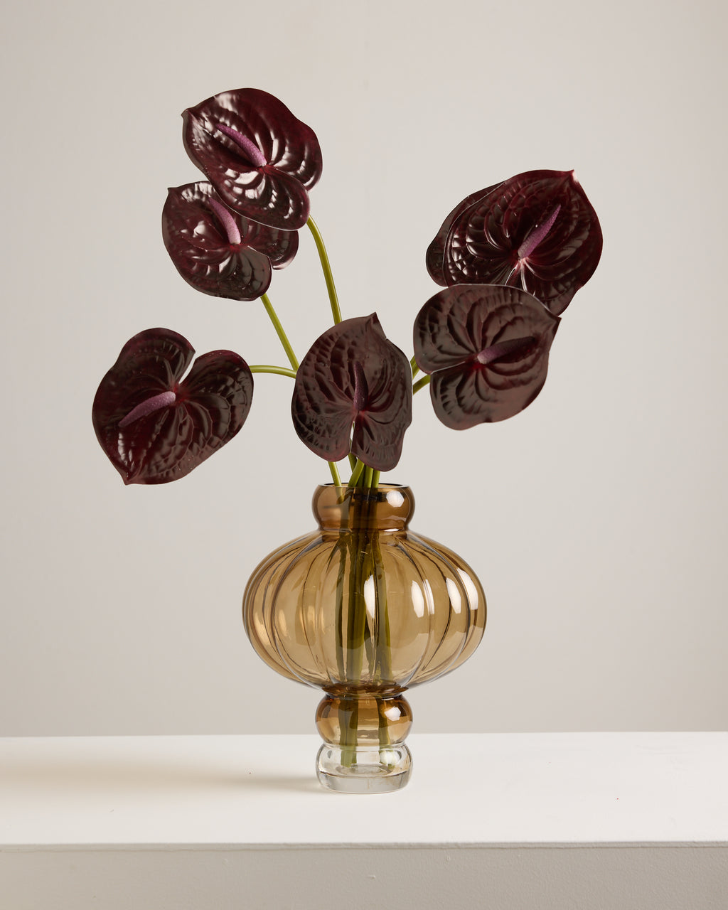ANTHURIUM IN MERLOT