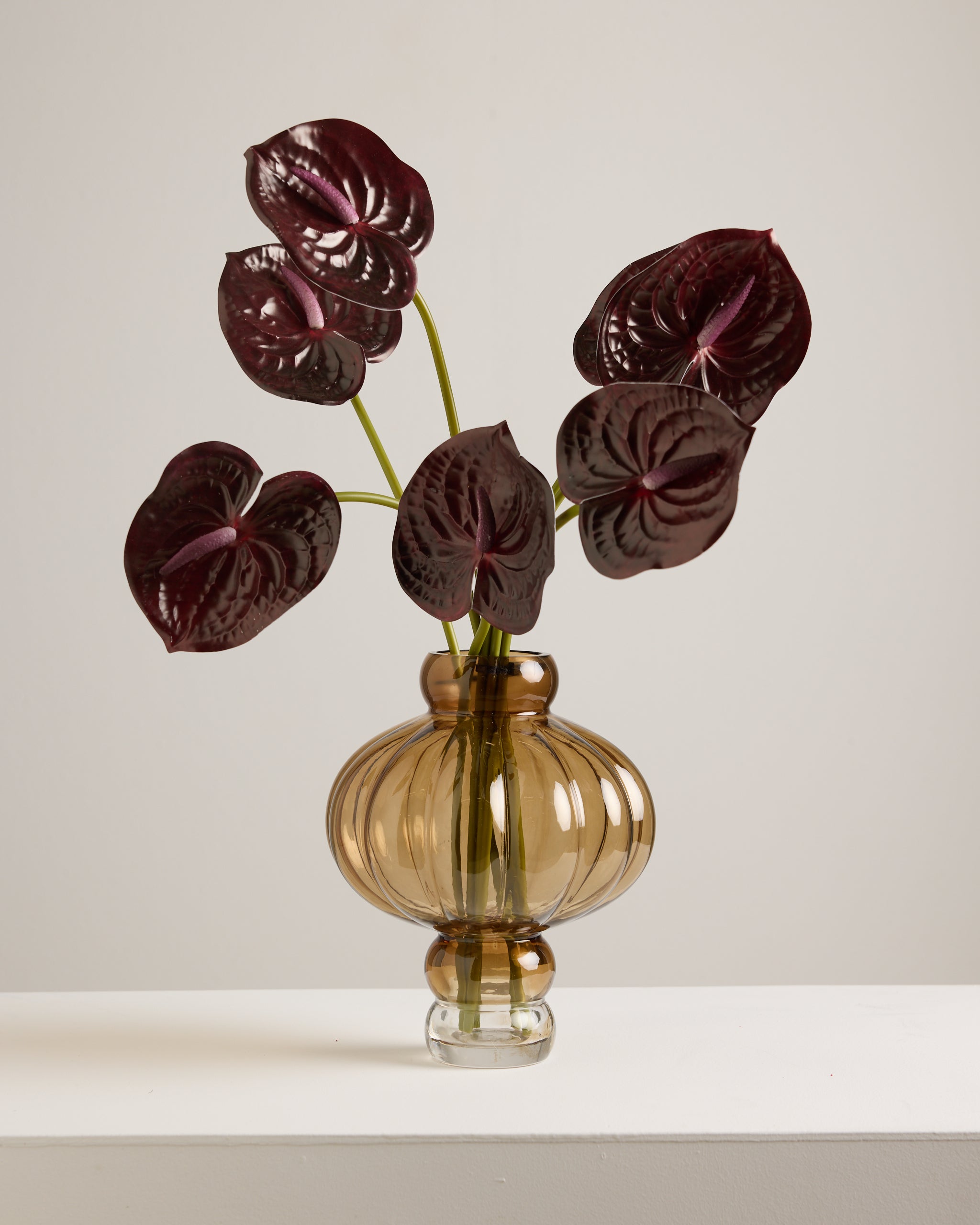 ANTHURIUM IN MERLOT