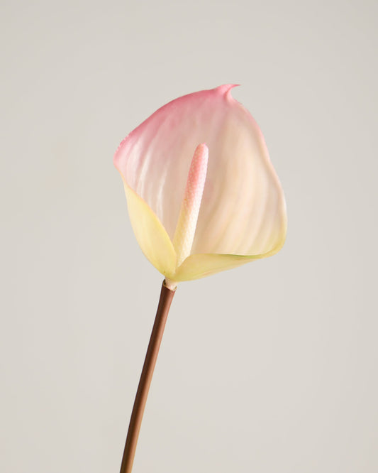 REAL TOUCH ANTHURIUM IN PINK AND LIME