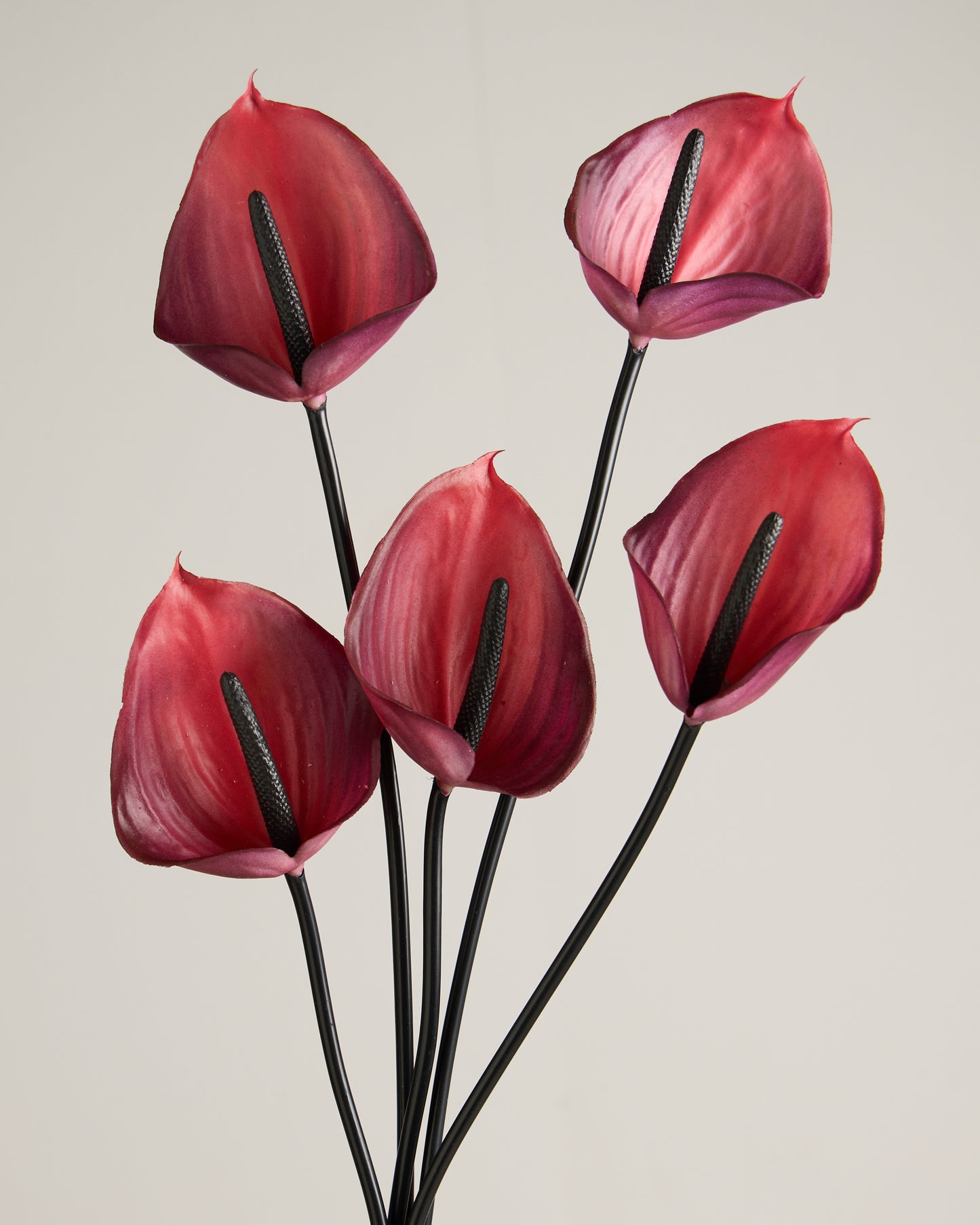 XL ANTHURIUM IN HOT PINK