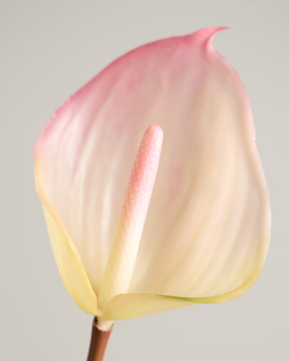 REAL TOUCH ANTHURIUM IN PINK AND LIME