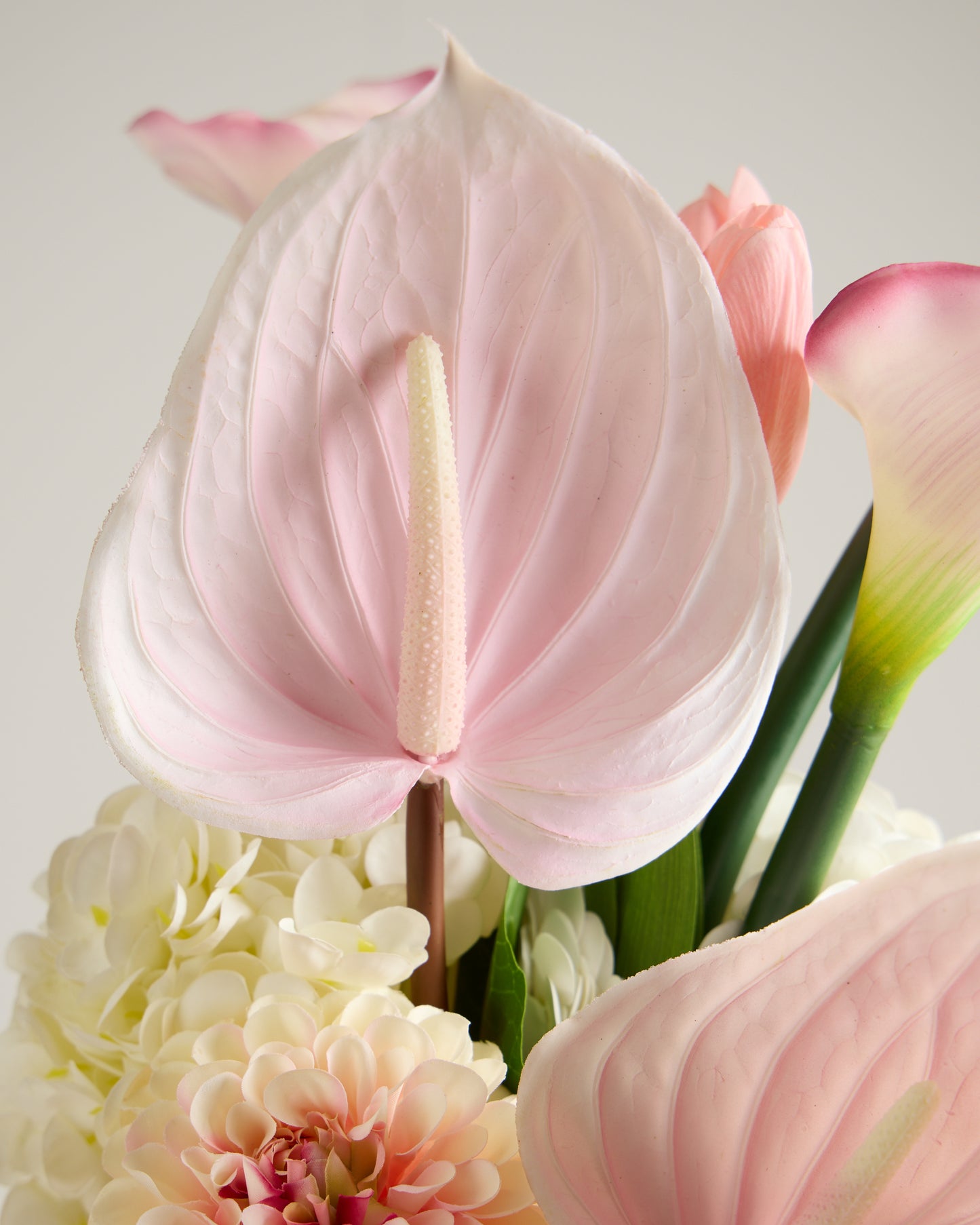 XL ANTHURIUM IN BABY PINK