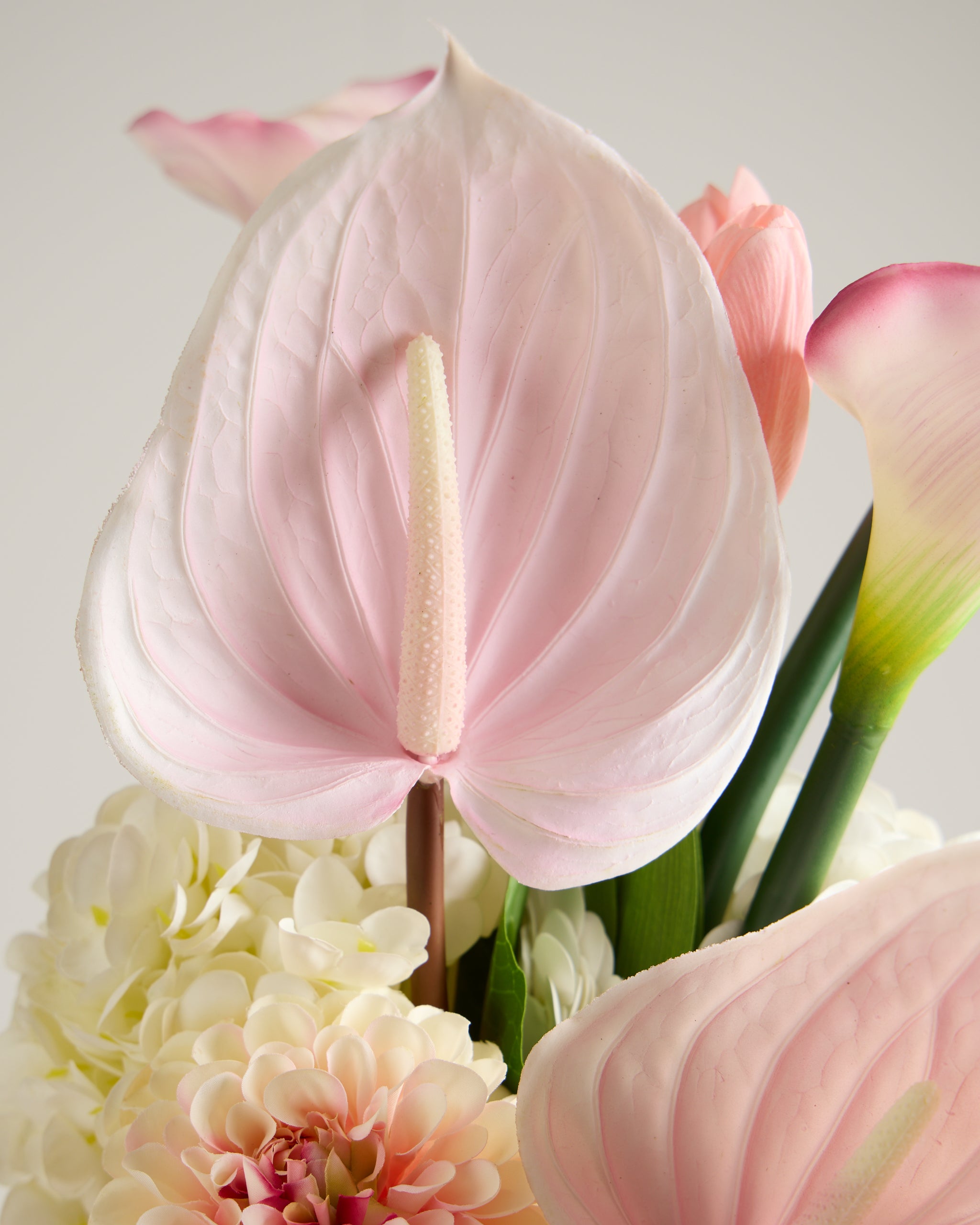 ANTHURIUM IN BABY PINK (EXTRA LARGE)