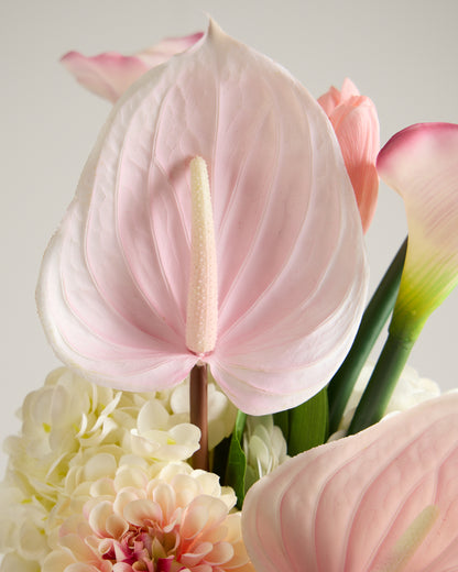 XL ANTHURIUM IN BABY PINK
