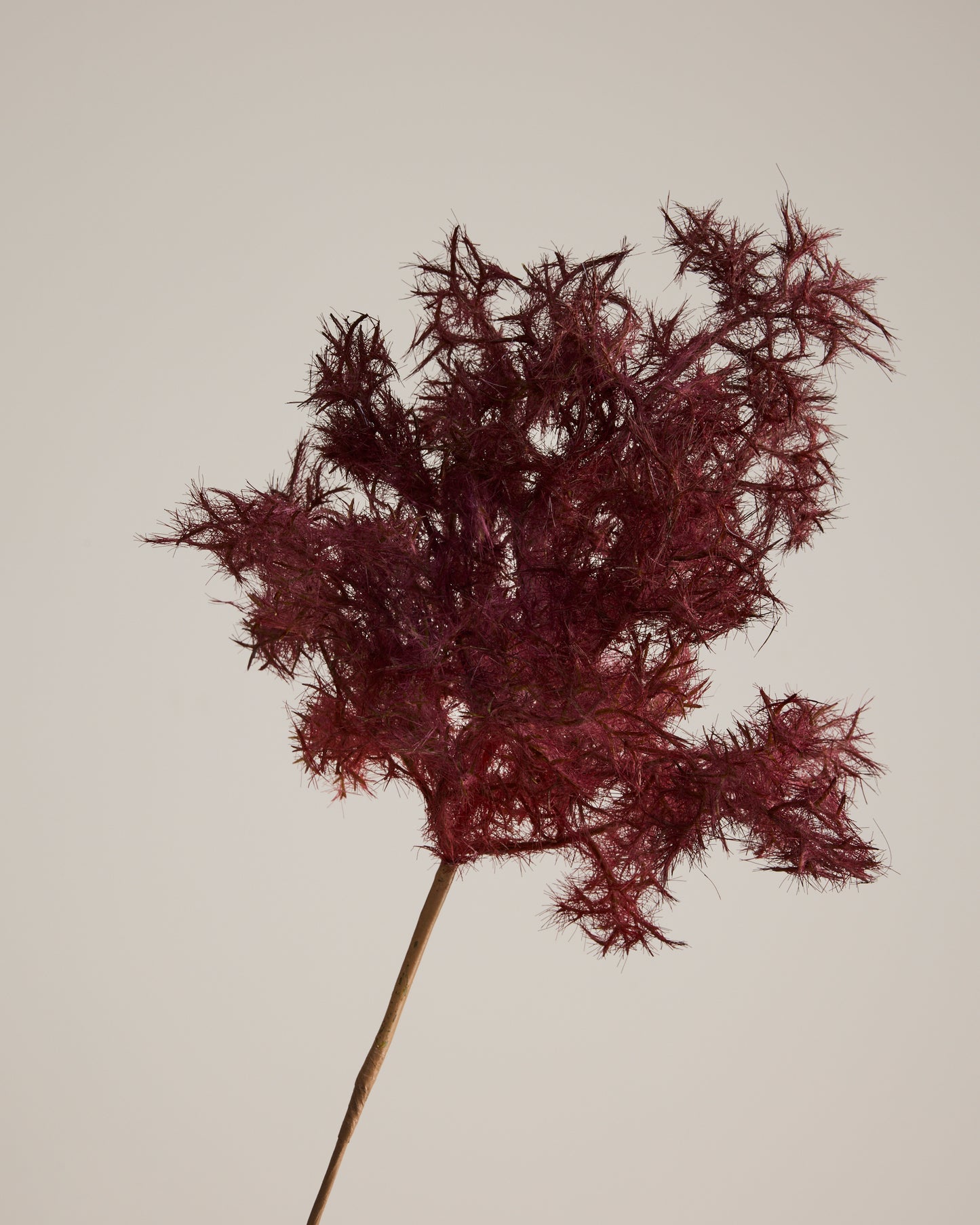 WHAT THE FLUFF IN BURGUNDY