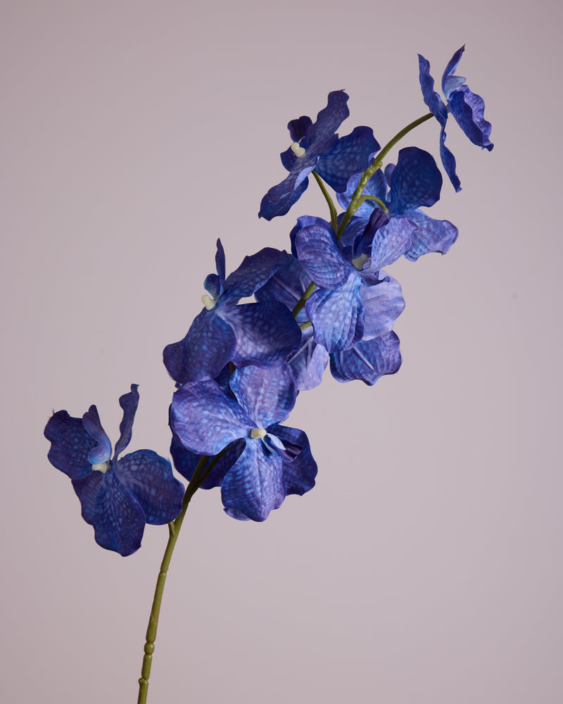 LARGE BLUE SILK ORCHID
