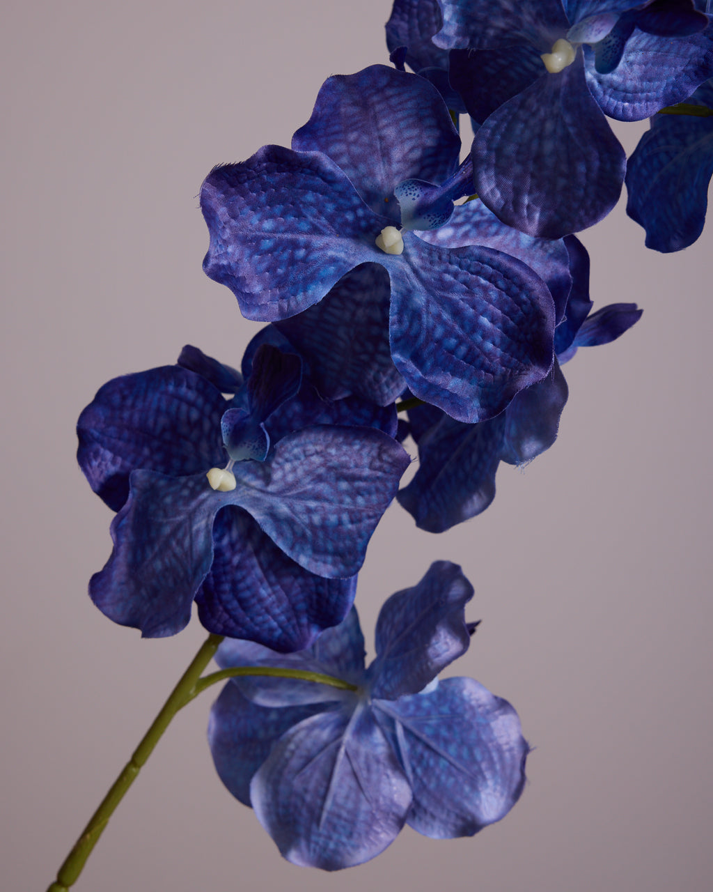 LARGE BLUE SILK ORCHID