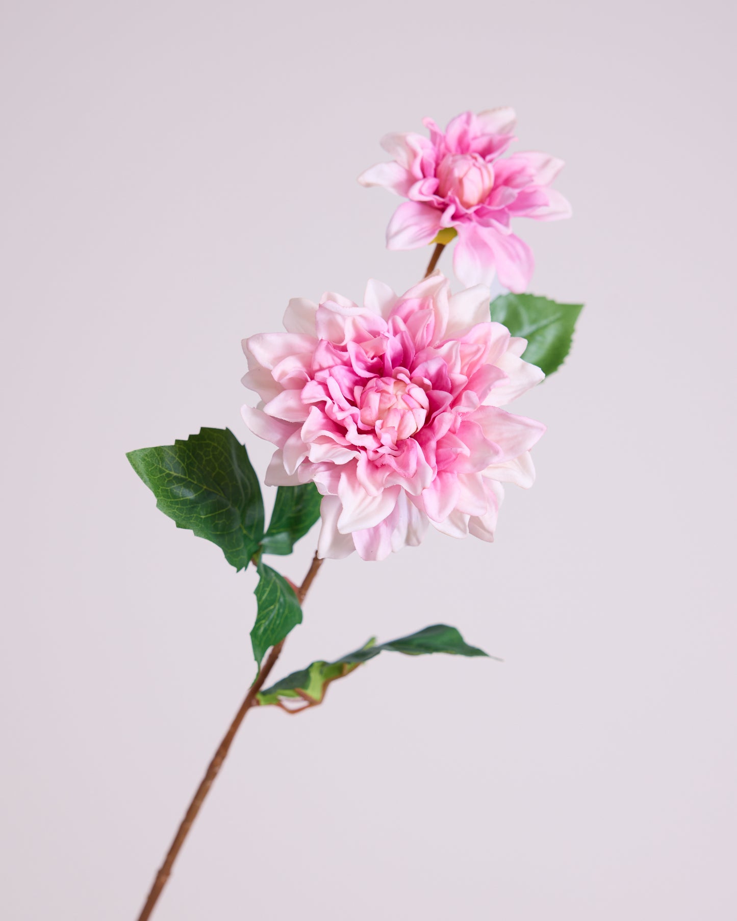 Pink Real Touch Dahlia