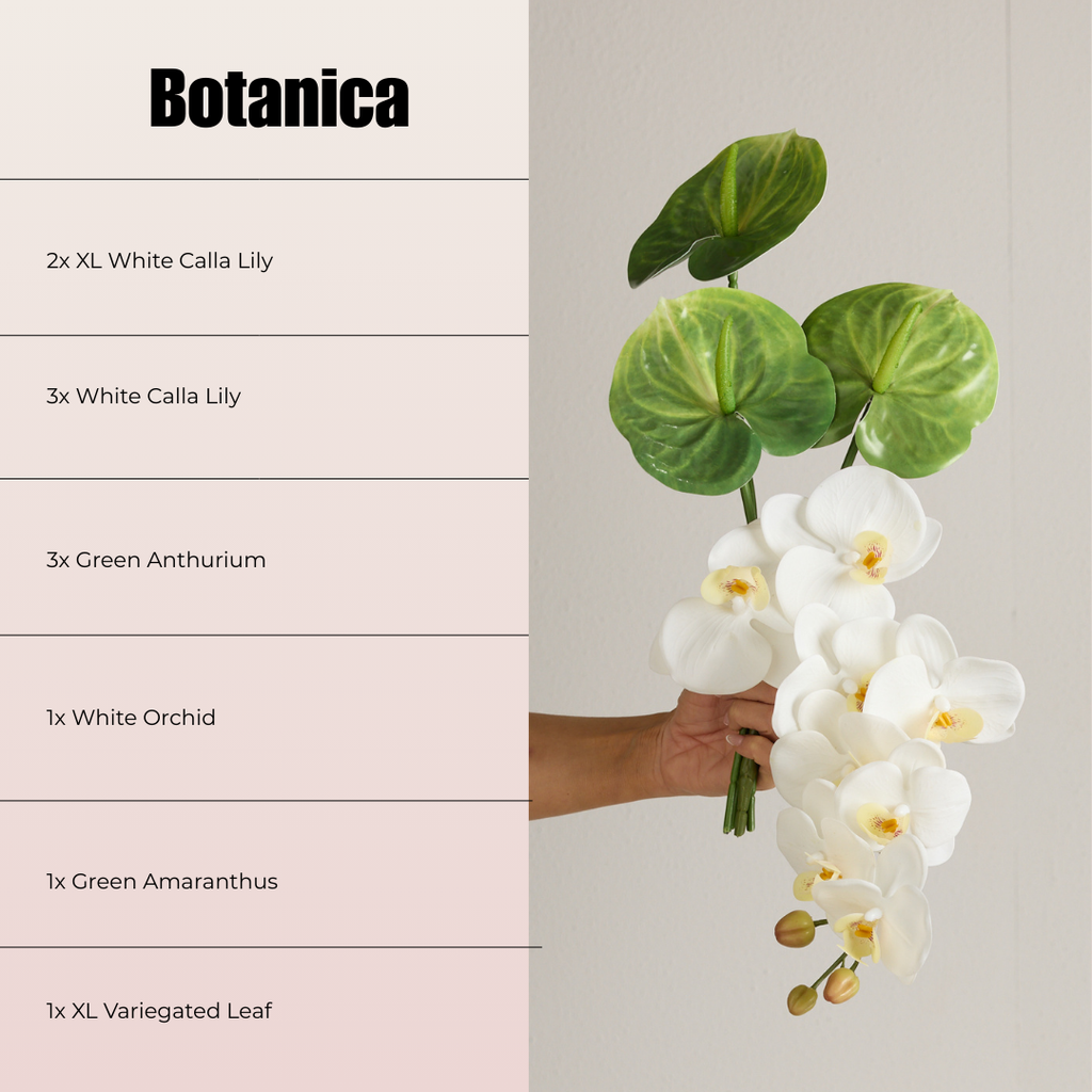 BOTANICA