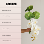 BOTANICA