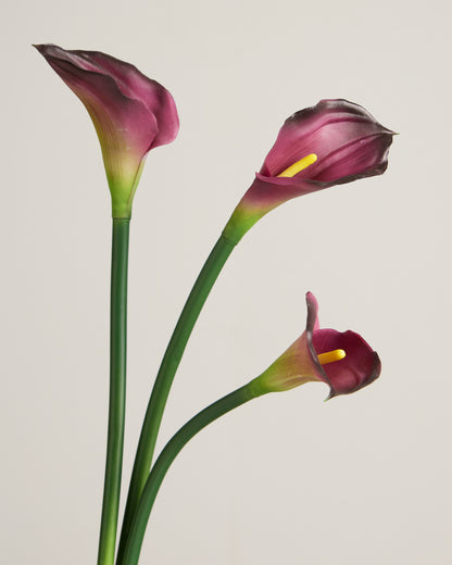 XL CALLA LILY IN PLUM