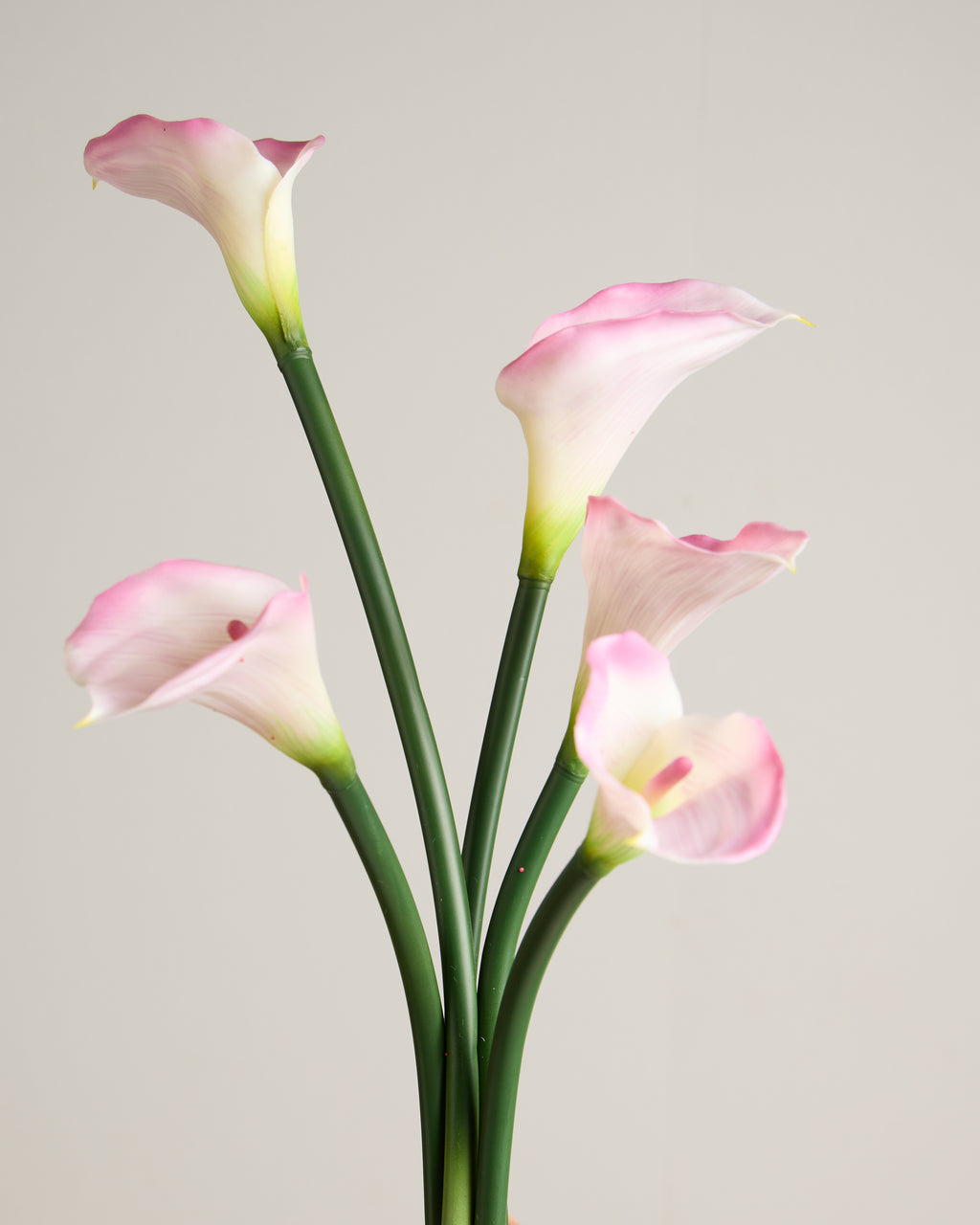 CALLA LILY IN DUSTY PINK (EXTRA LARGE)