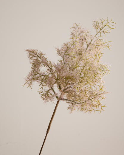 WHAT THE FLUFF IN OATMEAL