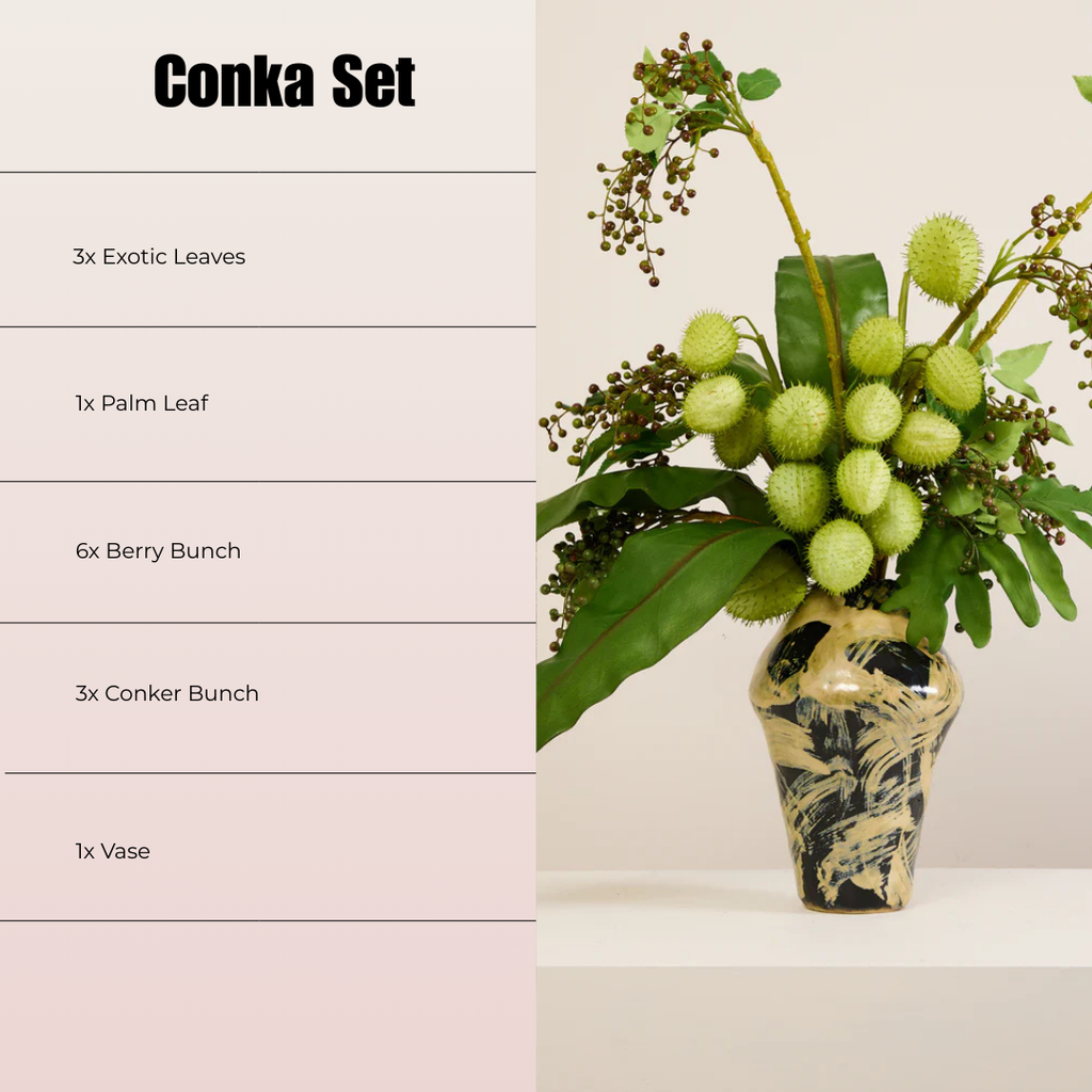 CONKER SET