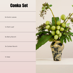 CONKER SET