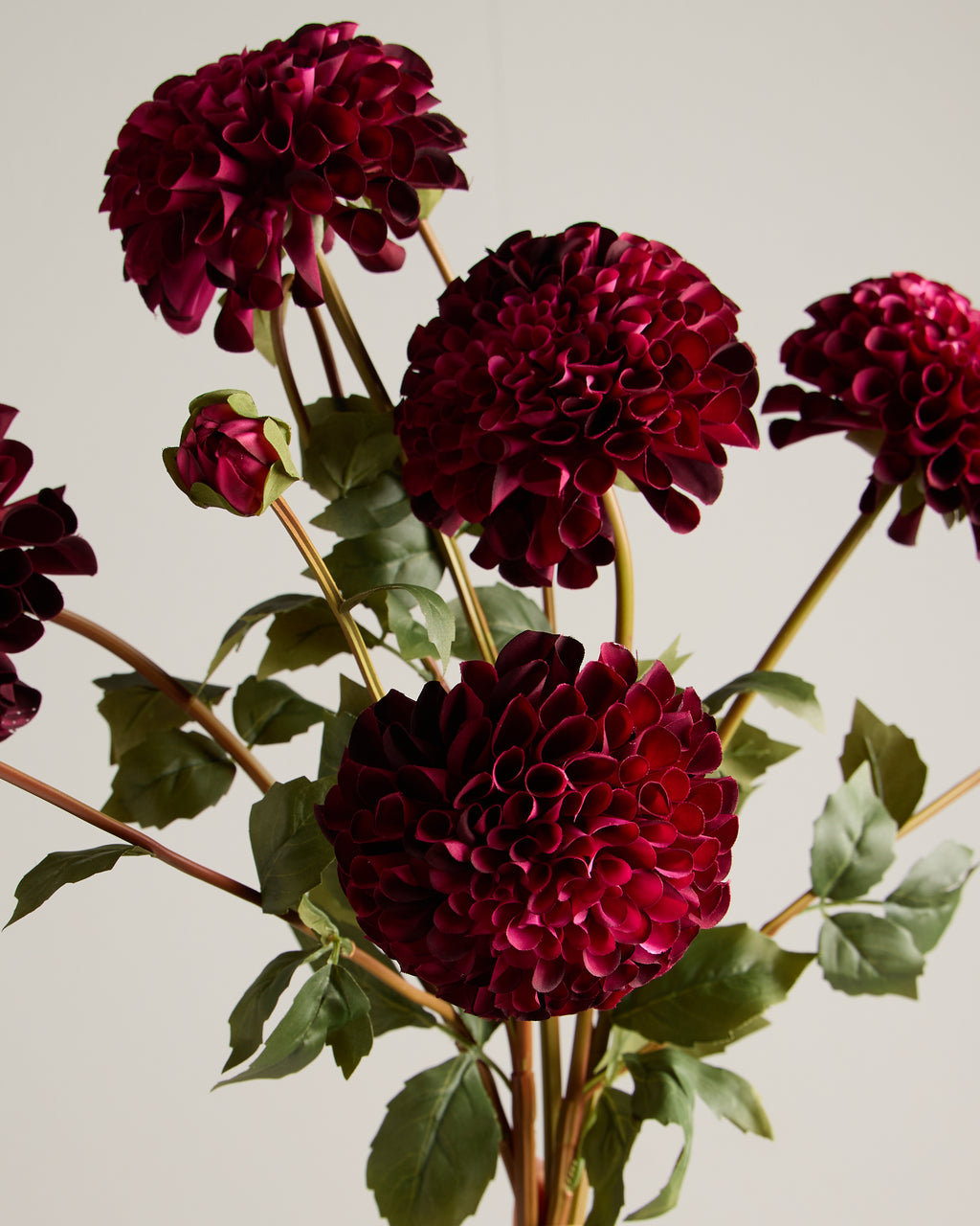 DAHLIA IN MAUVE (XL HEAD)