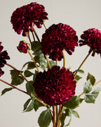 DAHLIA IN MAUVE (XL HEAD)