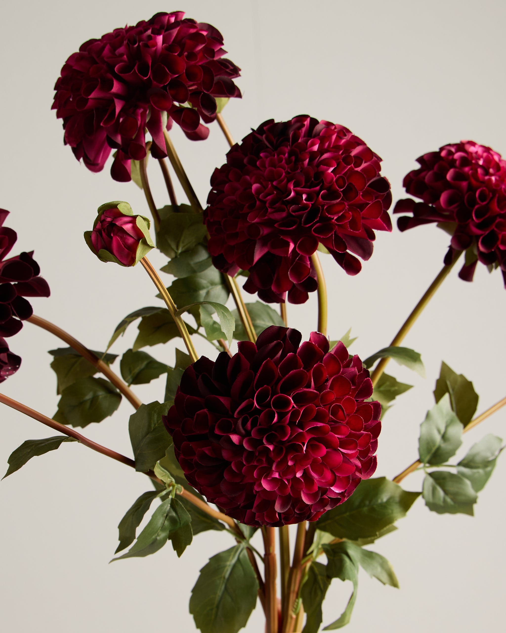 DAHLIA IN MAUVE (XL HEAD)