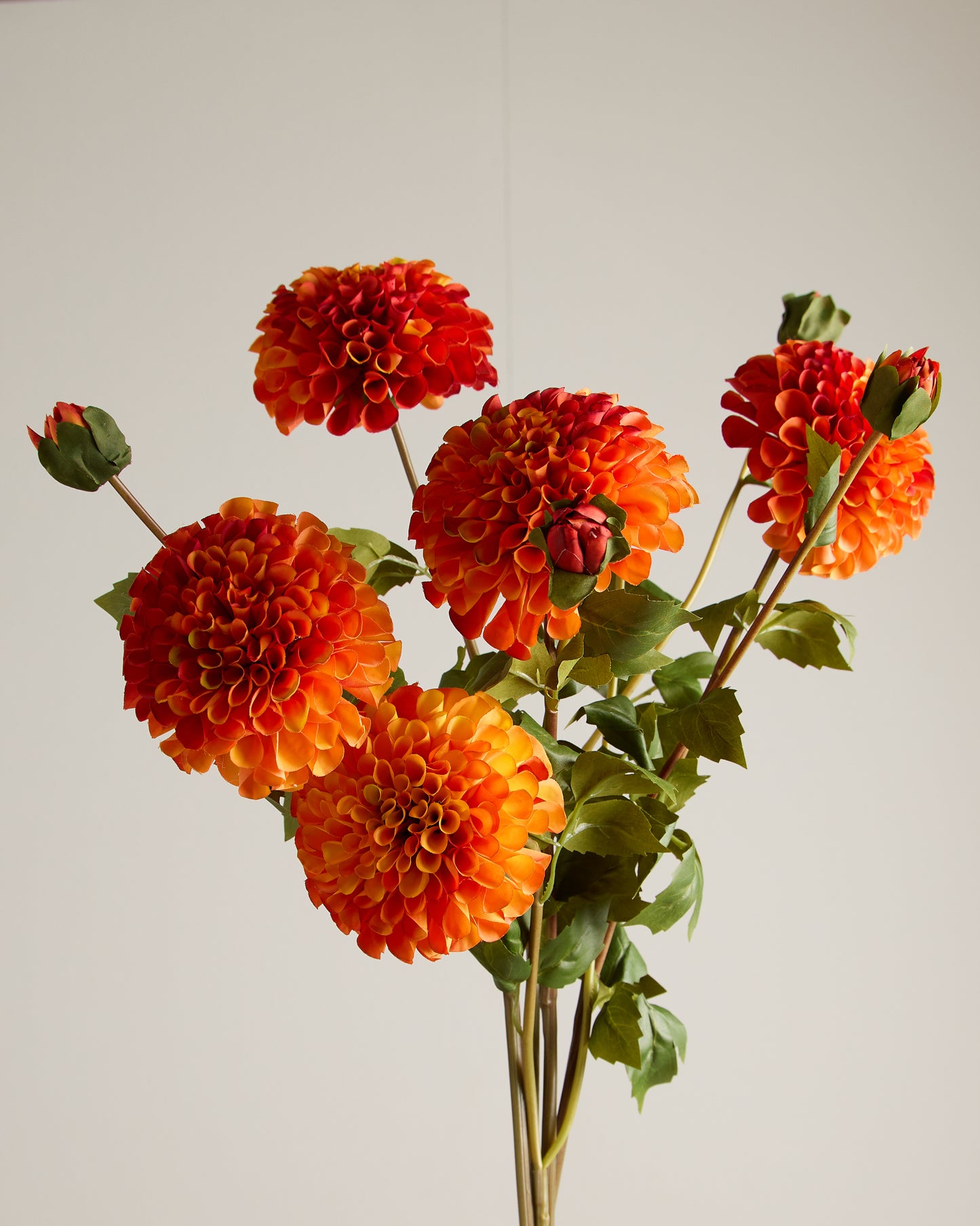 XL DAHLIA IN ORANGE