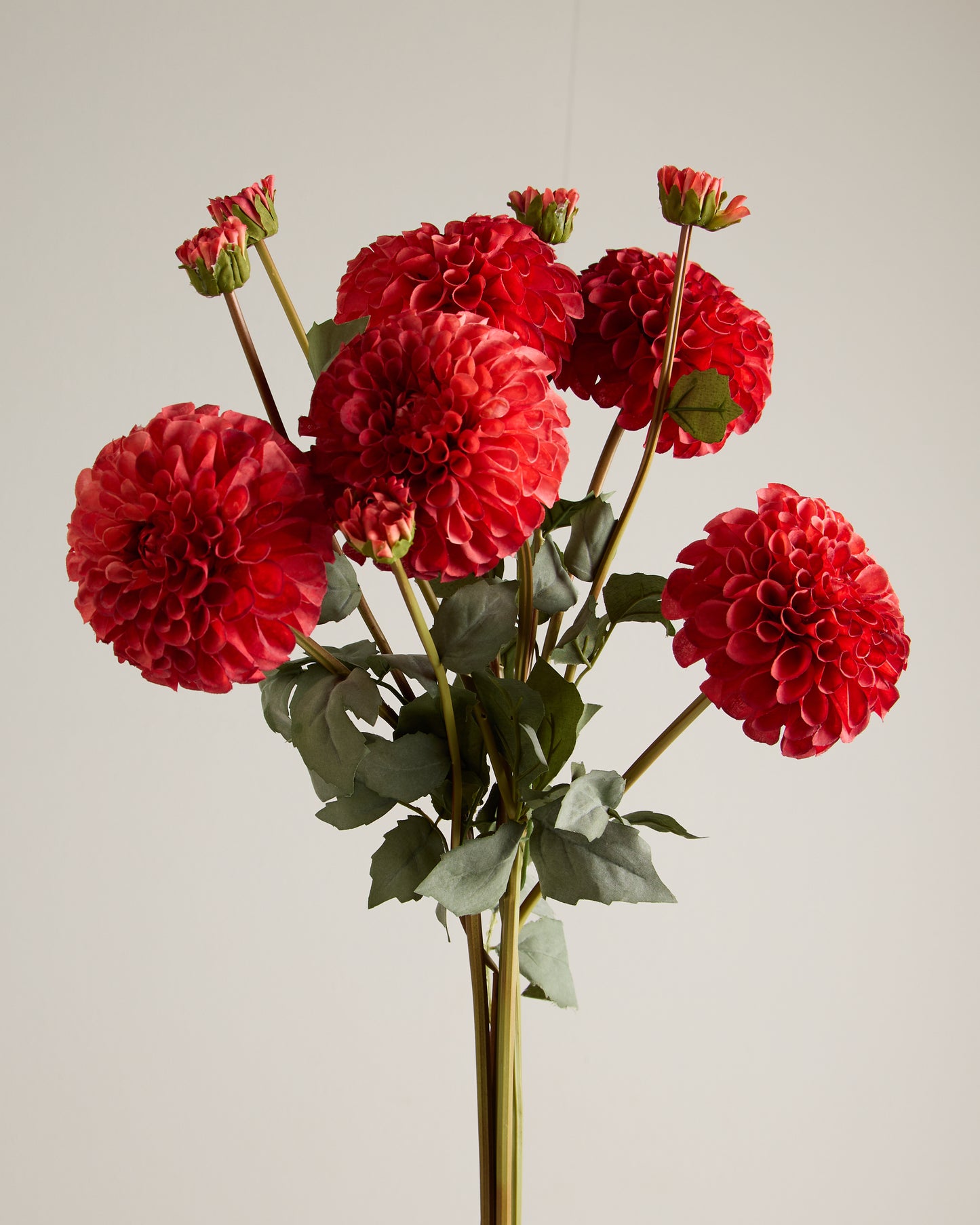 XL DAHLIA IN RED