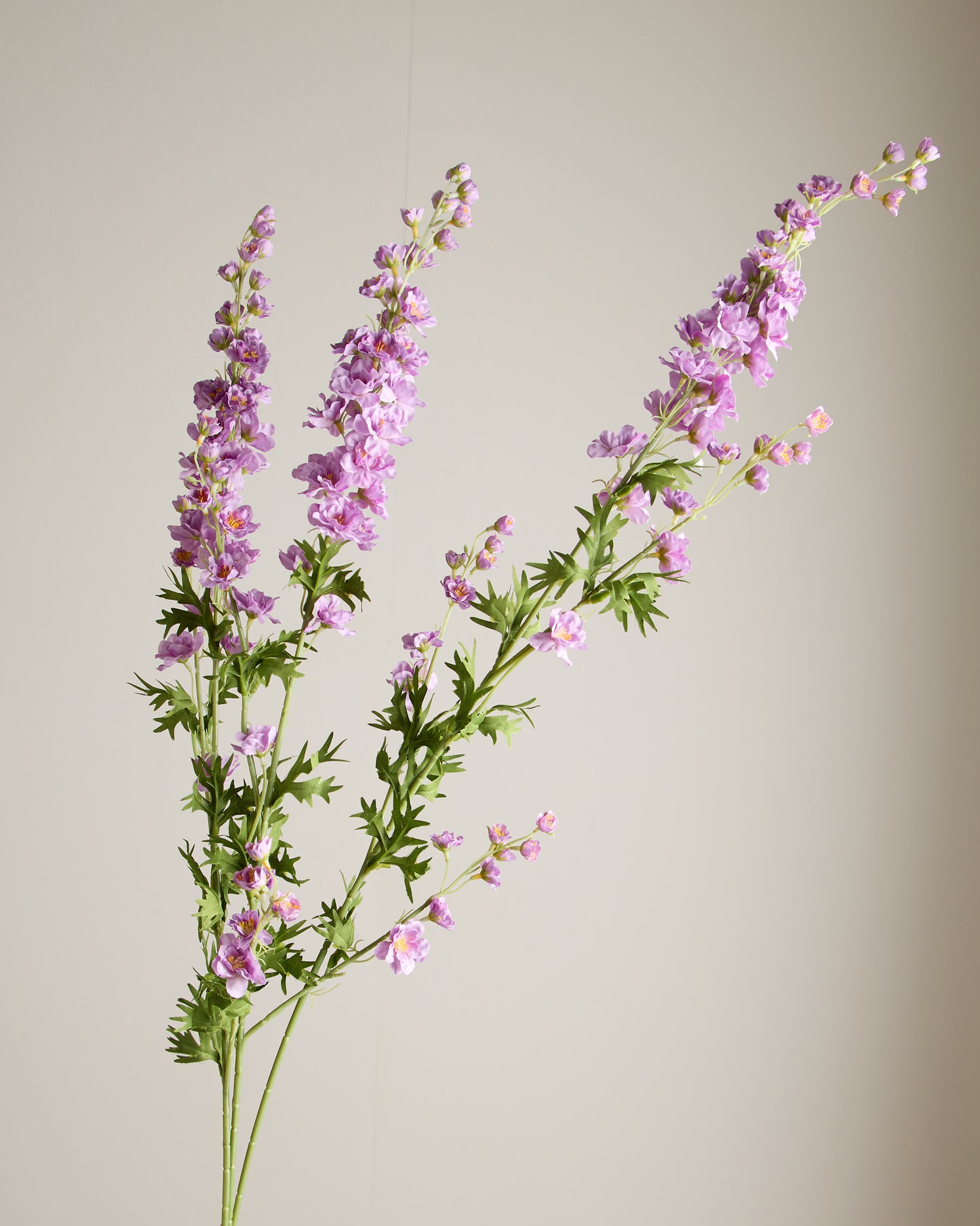 DELPHINIUM IN PURPLE