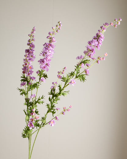 DELPHINIUM IN PURPLE