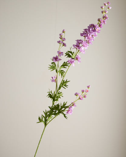DELPHINIUM IN PURPLE