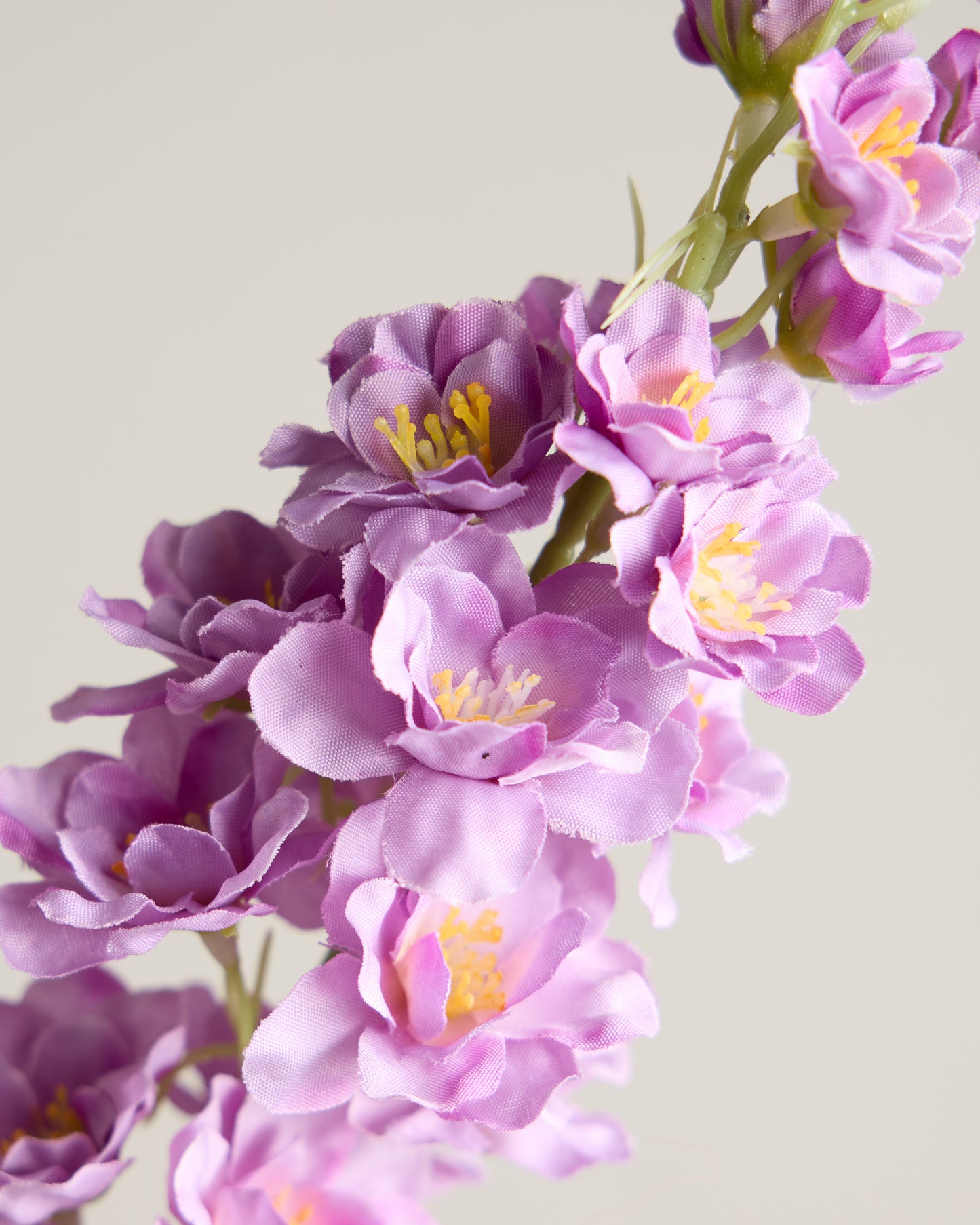 DELPHINIUM IN PURPLE