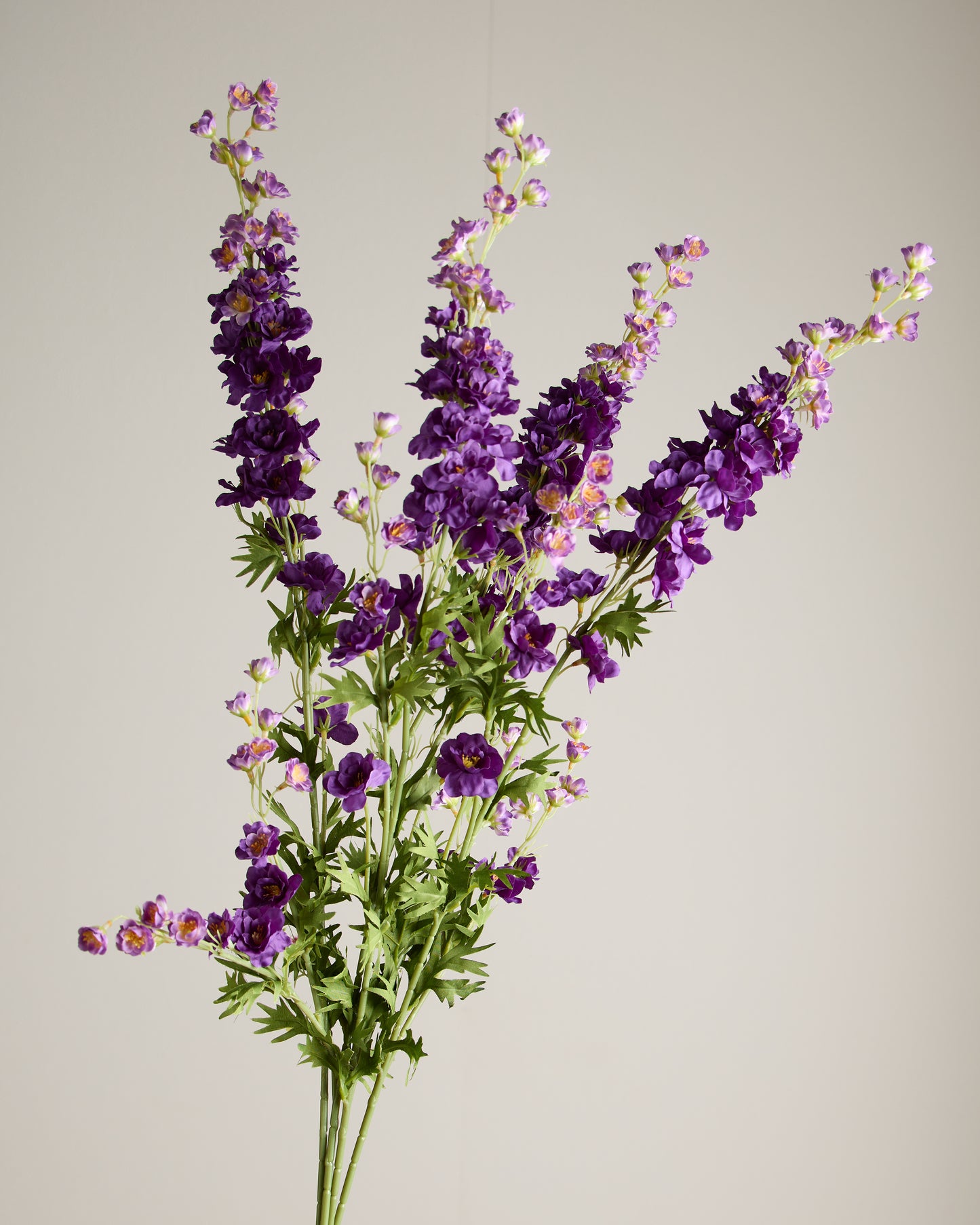 DELPHINIUM IN VIOLET