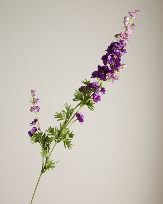 DELPHINIUM IN VIOLET