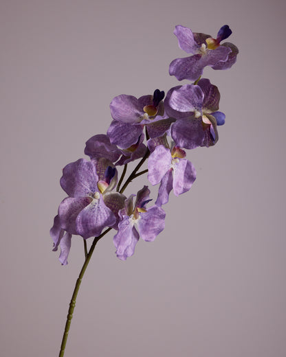 DUSTY PURPLE SILK ORCHID