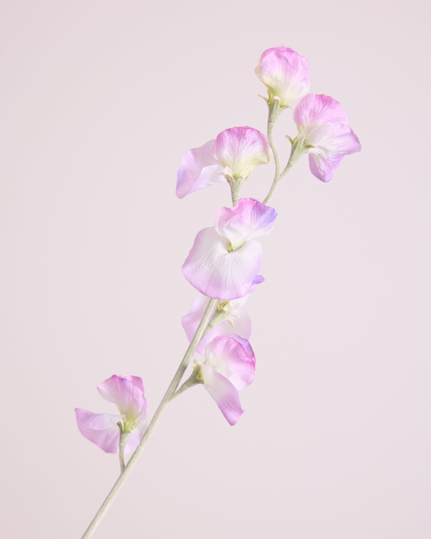 DELICATE SWEETPEA SPRAY IN DUSTY PURPLE