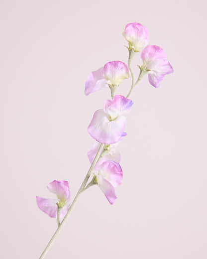 DELICATE SWEETPEA SPRAY IN DUSTY PURPLE