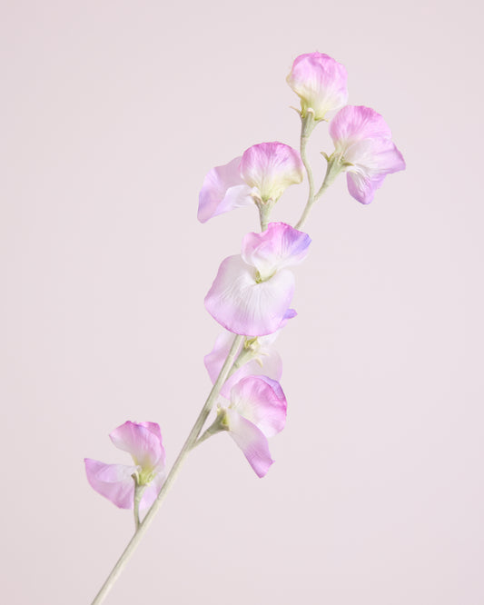 DELICATE SWEETPEA SPRAY IN DUSTY PURPLE