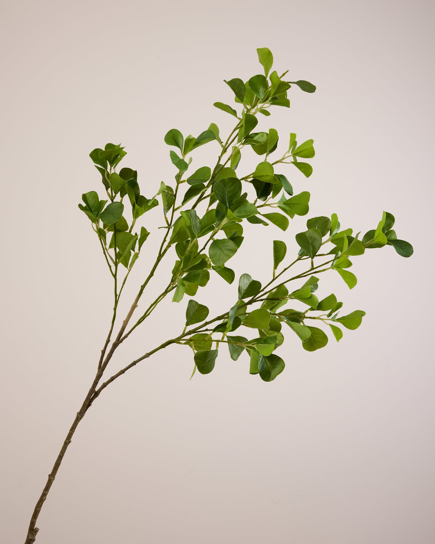 XL Green Leaf Branch