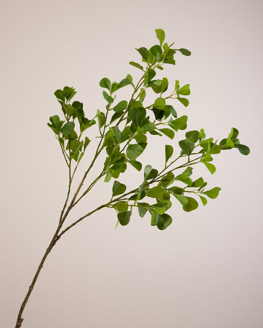 XL Green Leaf Branch