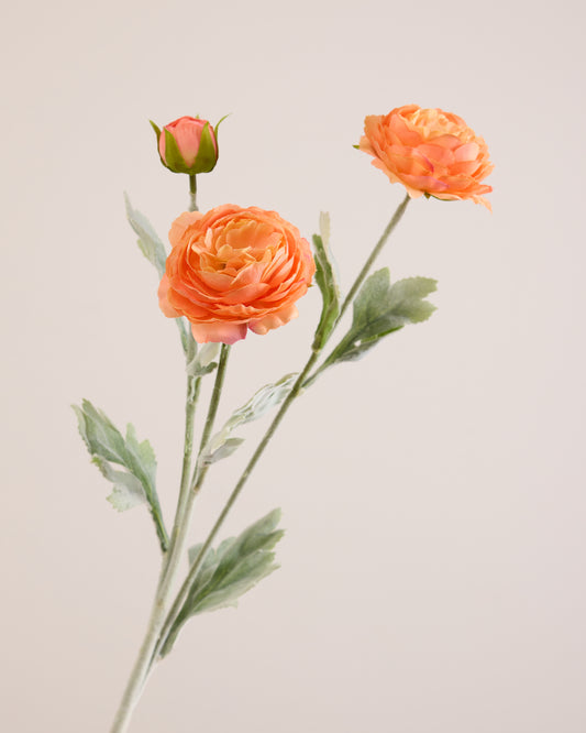 ORANGE RANUNCULUS (3 HEADS)