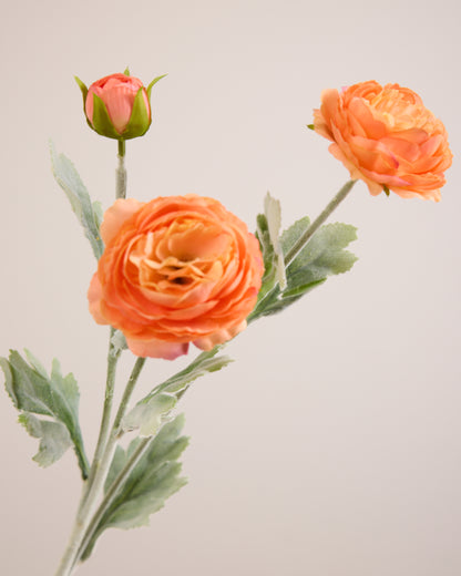 ORANGE RANUNCULUS (3 HEADS)